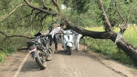 मऊ: मऊ में तूफानी बारिश के बीच पेड़ गिरा, बाजार-रेलवे स्टेशन मार्ग ब्लॉक