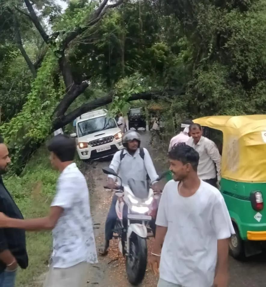 ज्ञानपुर: चौरी-महराजगंज मार्ग पर पेड़ गिरने से एक घंटे तक आवागमन बाधित, बिजली आपूर्ति बहाल