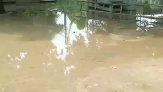 गोला: बारिश और तेज हवा से 4 फीडर की बिजली गुल, गगहा के मझगांवा उपकेंद्र से सप्लाई ठप, कर्मचारी ठीक करने में जुटे