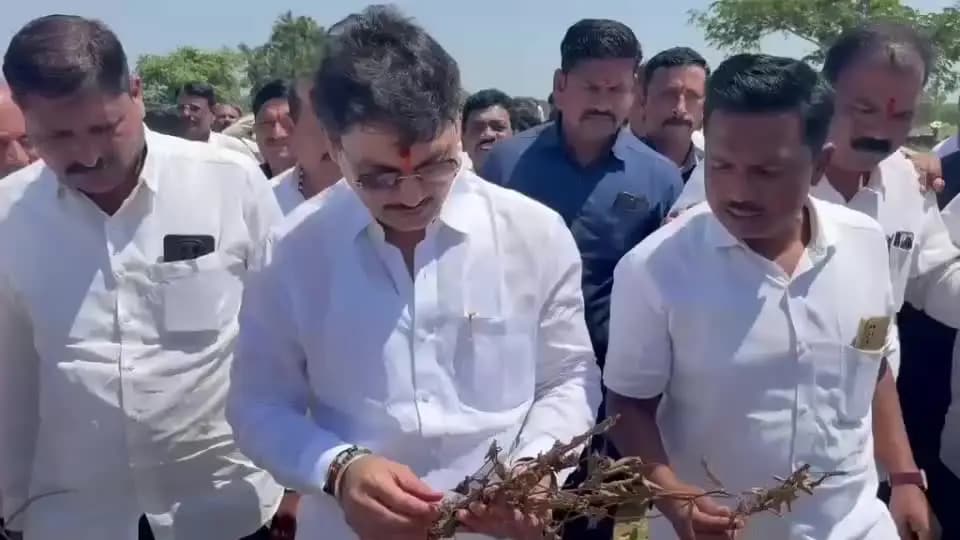 अंबाजोगाई: आमदार धनंजय मुंडे यांनी अंबाजोगाई तालुक्यात नुकसानग्रस्त भागाची पाहणी केली