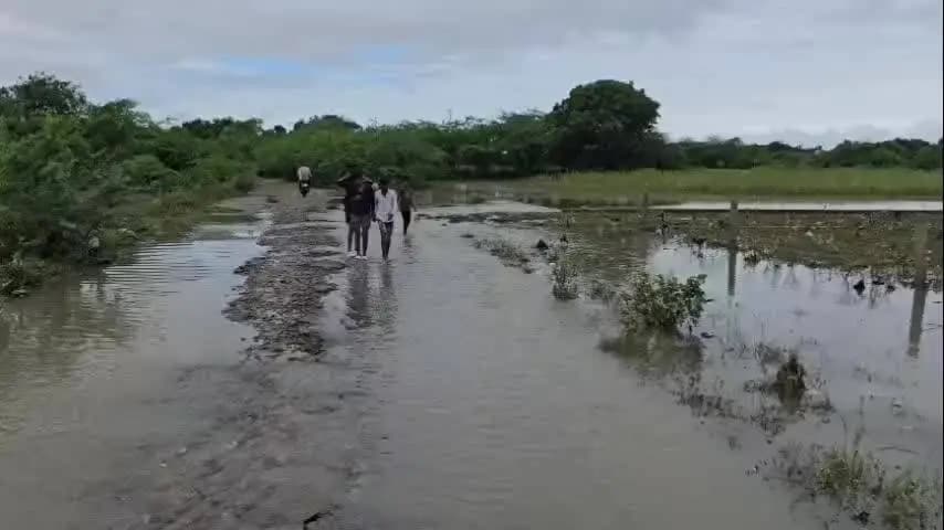 मौदहा: मौदहा क्षेत्र में 36 घंटे की मूसलाधार बारिश से जनजीवन अस्त-व्यस्त, दो दर्जन गांवों का संपर्क कटा