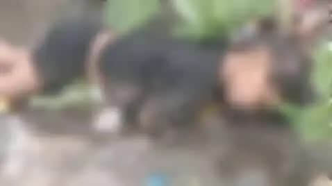 फर्रुखाबाद: नाले के पानी में डूबने से घर का बुझा इकलौता चिराग, माता-पिता बेहाल, 15 घंटे बाद नाले में गिरे बच्चे का मिला शव