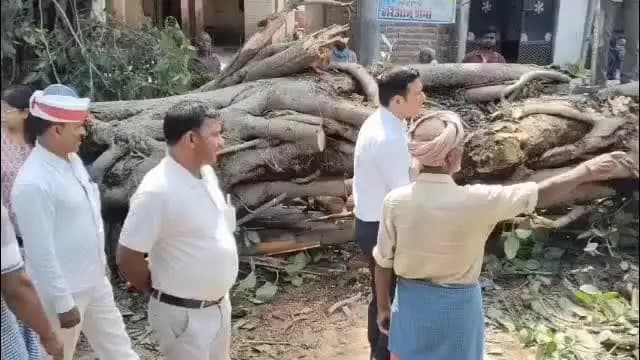 हाटा: भारी बारिश और तेज हवा से तबाही, 300 साल पुराना बरगद गिरा, मकान ध्वस्त, पशु की मौत, प्रशासन ने लिया जायजा