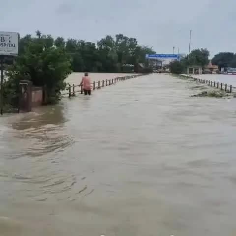 रायपुर: जान जोखिम में डालकर बुजुर्ग व्यक्ति ने खारुन नदी महादेव घाट पुल को पार किया, वीडियो हुआ वायरल