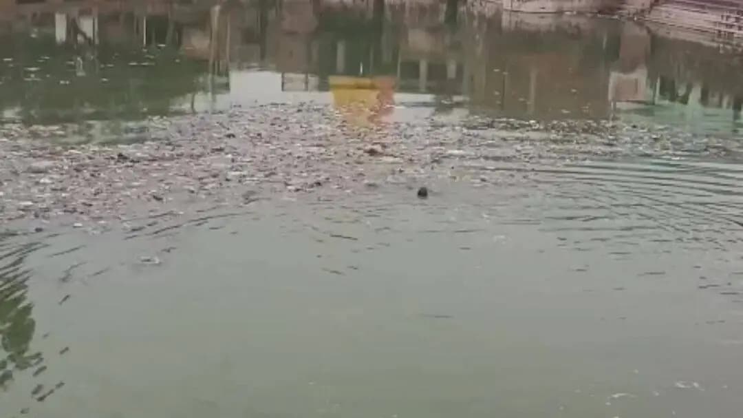 मथुरा: घर के सामने शांतनु कुंड में मिला 16 वर्षीय किशोरी का शव, वह कई दिन से लापता थी
