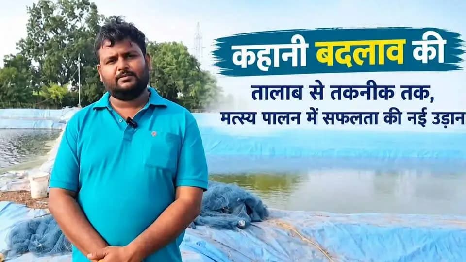 #कहानी_बदलाव_की
*प्रधानमंत्री मत्स्य संपदा योजना* के तहत आधुनिक बायोफ्लॉक प्रणाली अपनाकर बड़वानी के युवा उद्यमी श्री अर्पित साहू ने अपनी आय में वृद्धि की है। उनकी यह सफलता अन्य युवाओं के लिए भी स्वरोजगार की एक प्रेरणादायी मिसाल है।
#JansamparkMP
#Badwani