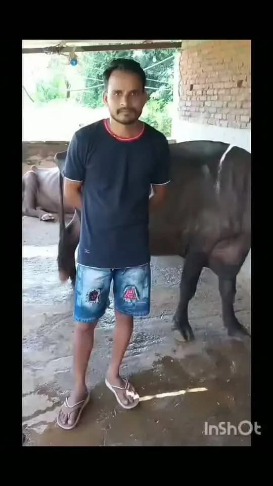 #सफलता_की_कहानी
----
आचार्य विद्यासागर गोसंवर्धन योजना से कुलदीप शर्मा ने शुरू किया डेयरी व्यवसाय, बने आत्मनिर्भर।
प्रधानमंत्री श्री नरेंद्र मोदी और मुख्यमंत्री डॉ मोहन यादव जी को दिया धन्यवाद
Chief Minister, MP
Dr Mohan Yadav
#SevaSankalpAbhiyan
#JansamparkMP
#सतना