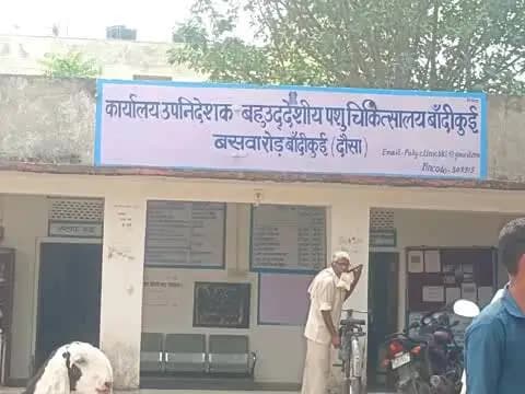 बांदीकुई: बांदीकुई में विश्व रेबीज दिवस पर नि:शुल्क टीकाकरण शिविर