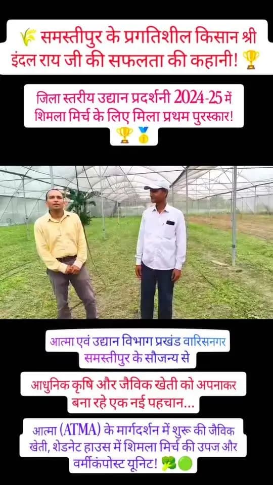 🌾 समस्तीपुर के किसान श्री इंदल राय जी की सफलता की कहानी! 🏆
Caption:
वारिसनगर, समस्तीपुर के इंदल राय जी ने आधुनिक कृषि और जैविक खेती को अपनाकर एक नई पहचान बनाई है। आत्मा (ATMA) योजना के तहत प्रशिक्षण लेकर शेडनेट हाउस, वर्मीकंपोस्ट और शिमला मिर्च की खेती से बेहतर मुनाफा कमाया और जिला स्तर पर प्रथम पुरस्कार भी हासिल किया 🏆।
💡 जैविक खेती अपनाएं, आत्मनिर्भर बनें! 🌱
#SuccessStory #ProgressiveFarmer #OrganicFarming #BiharAgriculture #ATMA
#जिला_प्रशासन_समस्तीपुर
#CMSamrat
#सफलता_की_कहानी
#आत्मनिर्भर_बिहार
#samratchoudhary
Information & Public Relations Department, Government of Bihar
CMO Bihar
