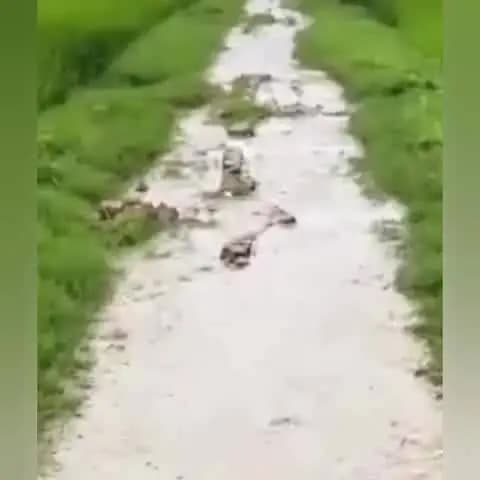 मुहम्मदाबाद गोहना: खुरहट इलाके में बदहाल रास्ते के कारण ग्रामीणों को आना-जाना हो रहा है मुश्किल, रास्ता बनवाने की उठाई गई मांग