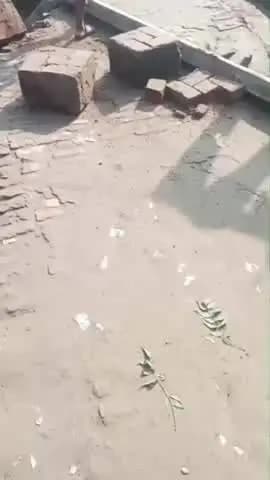 ग्राम पंचायत दहेलिया में ₹1,74,000 के भुगतान के बाद कुएँ की यह हालत!
📍 ग्राम पंचायत — दहेलिया, शिवराजपुर
👤 प्रधान — वि