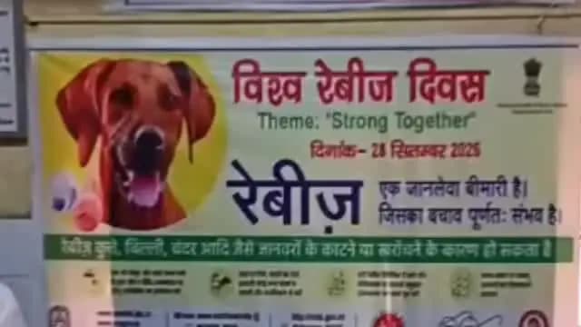 हाटा: जानवर के काटने पर लापरवाही पड़ सकती है भारी, तुरंत कराएं उपचार; विश्व रेबीज दिवस पर 19 मरीजों को लगा एंटी रेबीज टीका