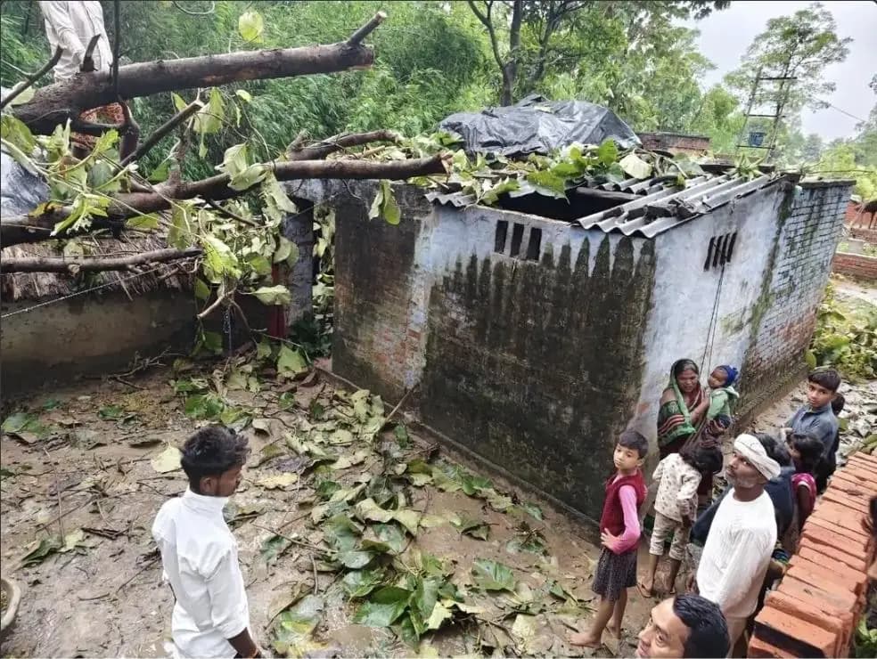 मनकापुर: तेज आंधी में गोंडा के अंबरपुर में पेड़ गिरा, परिवार बाल-बाल बचा