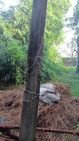 ग्राम पंचायत बेनौर 7498945765