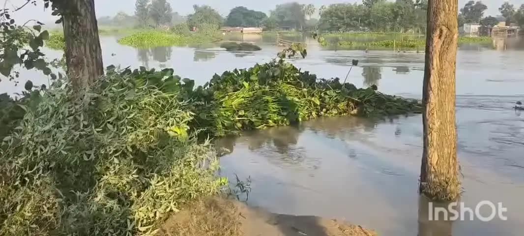 अरेराज: अरेराज प्रखंड के सरेया पांडेय टोला गांव में रिंग बांध टूटने से लोगों के घरों तक पहुंचा बाढ़ का पानी