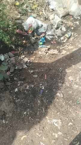 नगर परिषद विजयपुर मध्य प्रदेश। वार्ड नं.14। में बाडखेरा रोड़ पर साफ सफाई बिल्कुल नहीं की जाती नगर पालिका की तरफ से न