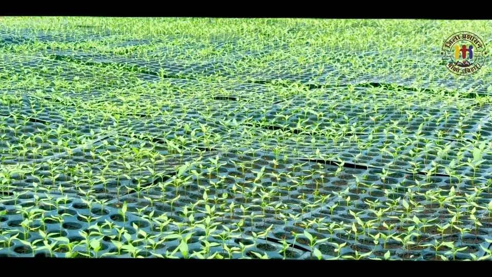 Lilawaran Natural Farming & Land Revival