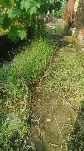 ग्राम निताई नगला ग्राम पंचायत रिजोला थाना उसहैत ब्लॉक उसावा तहसील दातागंज जिला बदायूं
