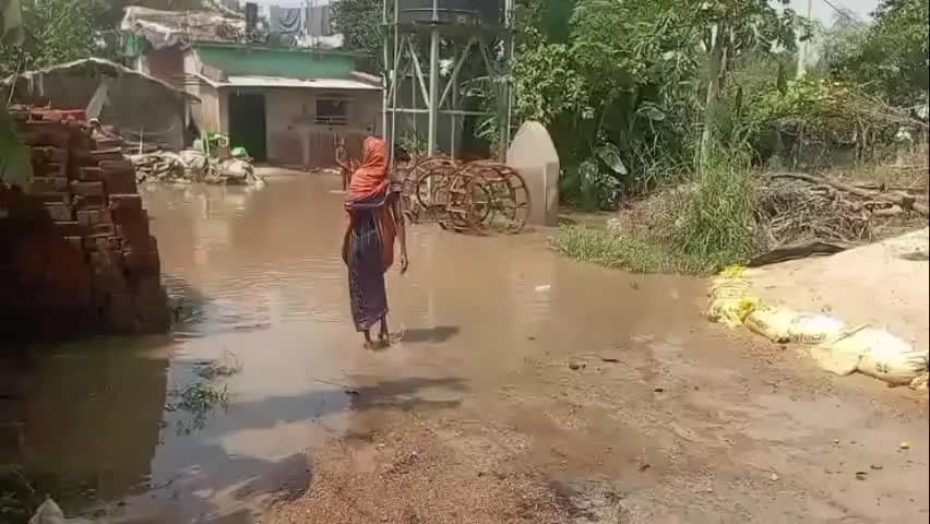 ଅମ୍ବାଭୋନା: ମହାନଦୀକୁଳିଆ ଚିଖିଲି ଗାଁ ରେ ଆଜି କମିଲା ବନ୍ୟାଜଳ