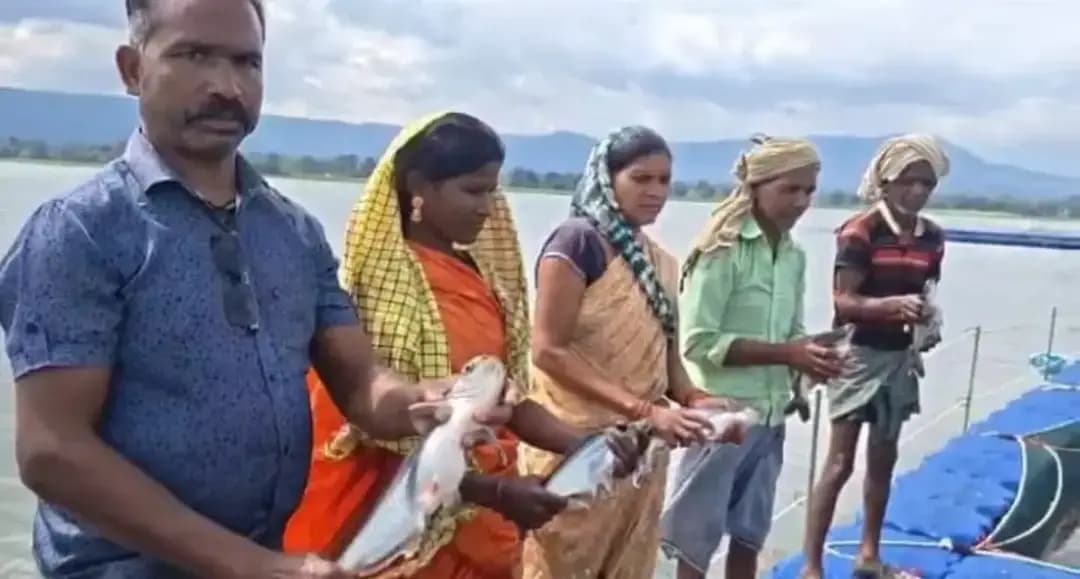 प्रधानमंत्री मत्स्य संपदा योजना और जिला खनिज न्यास निधि के सहयोग से जिले के मछुआरों के जीवन में सकारात्मक बदलाव आ रहा है। गौरेला विकासखंड के ग्राम देवरगांव स्थित मल्हनिया जलाशय में जय बूढ़ा देव मल्हनिया आदिवासी मछुआ सहकारी समिति मर्यादित के सदस्य अब पारंपरिक मत्स्याखेट के साथ आधुनिक पिंजरा मछली पालन (केज कल्चर) अपनाकर बेहतर आय अर्जित कर रहे हैं।
#मेरेसपनोंकाभारत #MereSapnoKaBharat
#सेवा_संकल्प_अभियान #सेवा_की_कहानी #SevaSankalpAbhiyan