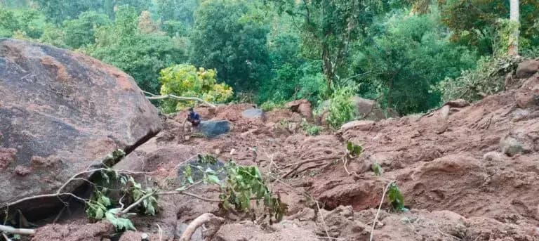 मैनपुर: गरियाबंद के देवभोग वन में भारी बारिश के बीच 8 से 10 एकड़ जंगल भूस्खलन से प्रभावित