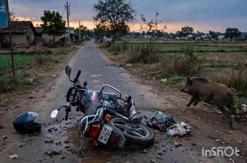 चंद्रपूर: चंद्रपुरात शांतीधाम जवळ भीषण अपघात, ट्रिपल सीट दुचाकीचे नियंत्रण सुटले, दोघांचा मृत्यू १ गंभीर