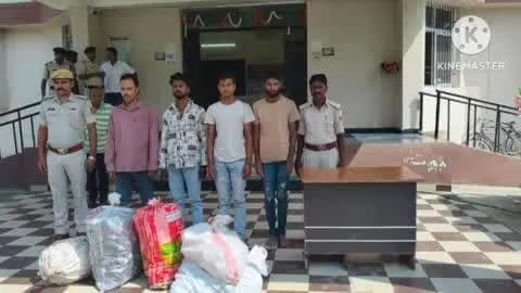 नरपतगंज: फुलकाहा पुलिस ने 490 बोतल कफ सिरफ और भारी मात्रा में शराब के साथ 5 लोगों को किया गिरफ्तार, एसडीपीओ ने की पूछताछ