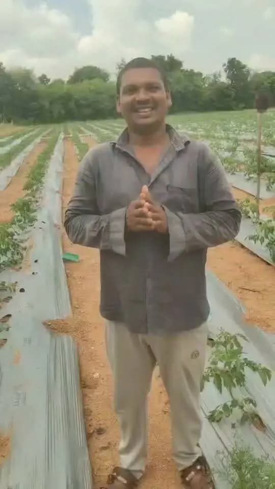 ड्रिप सिंचाई योजना से बदली खेती की सूरत
--
ग्राम पंचायत हनोता विकासखंड पलेरा के निवासी कृषक श्री पहलवान कुशवाहा जी को उद्यानिकी विभाग द्वारा 'प्रधानमंत्री कृषि सिंचाई योजना' के अंतर्गत ड्रिप संयंत्र प्राप्त हुआ है।
इससे वे सब्जी वाली फसलों की बेहतर खेती कर अधिक लाभ कमा रहे हैं।
श्री पहलवान कुशवाहा ने इस योजना का लाभ प्रदान करने के लिए प्रधानमंत्री श्री नरेंद्र मोदी जी का आभार व्यक्त किया।
#SevaSankalpAbhiyan
#सेवा_संकल्प_अभियान
#JansamparkMP
#Jansamparktikamgarh
#tikamgarh