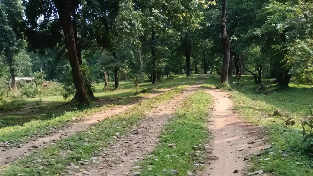 गडचिरोली: मुरसमगुडा मुख्य रस्त्याची भयंकर अवस्था; दुरुस्तीची तातडीची मागणी