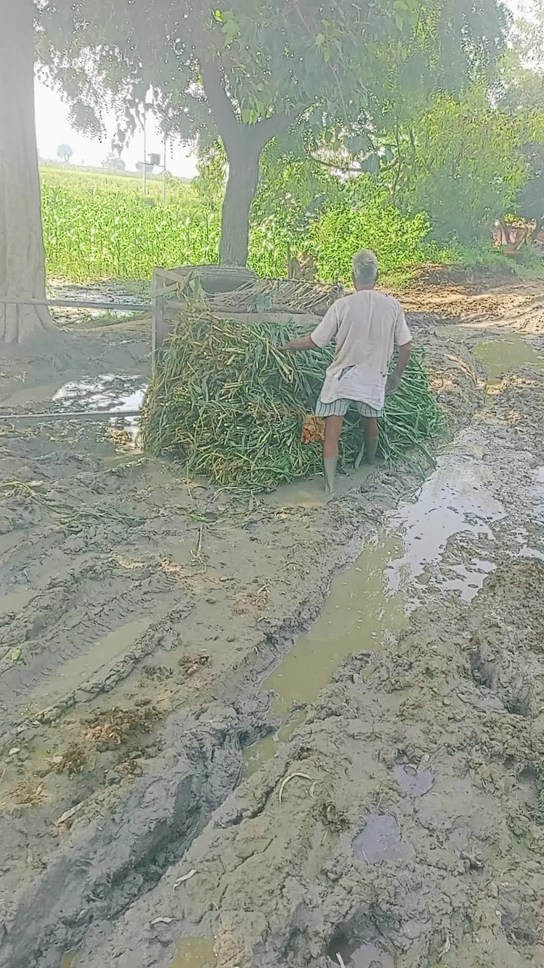 रास्ताकाट ली और रास्ता पर हर खड़ेकर दिए गए हैं दूसरे साइड से सड़क कट ली गई है पाइपलाइन लीकेज कर रही है