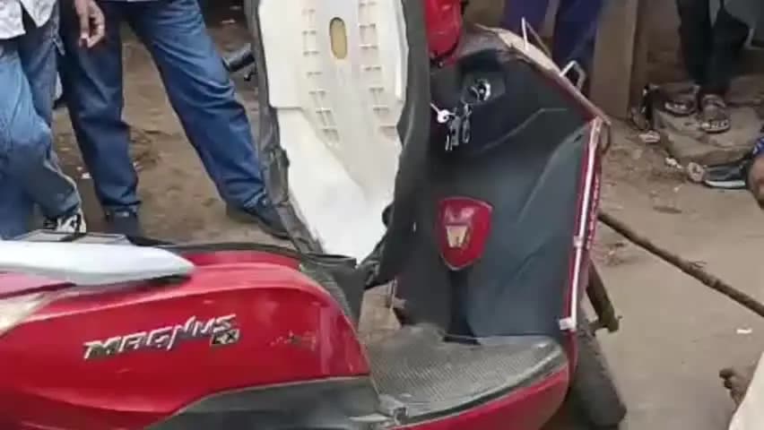 अशोक नगर: अशोकनगर में चलती स्कूटी में 4 फीट का सांप निकला, हैंडल पर लटकते देख चालक ने छोड़ी गाड़ी