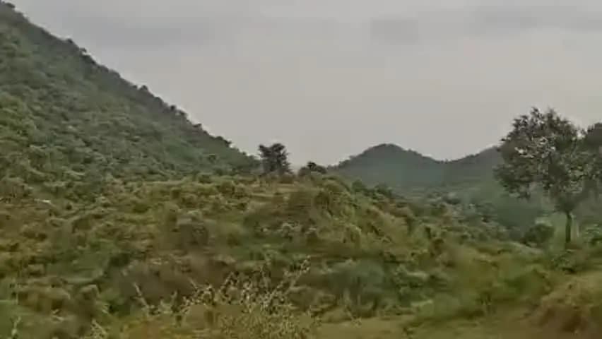 बड़गांव: उमरड़ा की बस्ती में घुसा 7 फीट लंबा मगरमच्छ, अंधेरे में किया गया रेस्क्यू