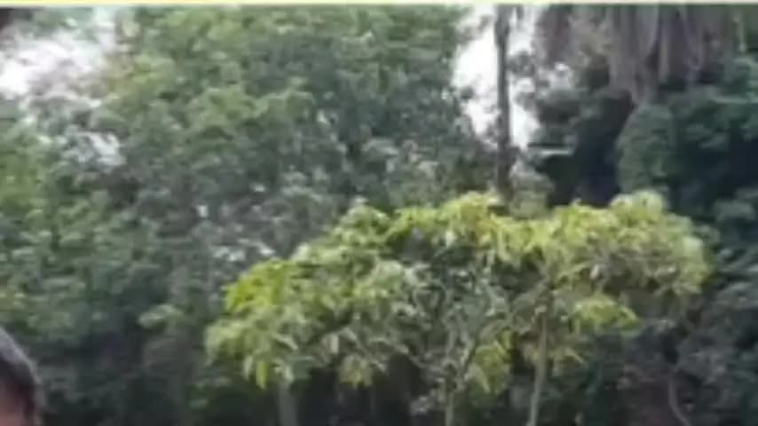 ভগবানগোলা ১: ভগবানগোলা রমনা পাড়ায় দুটি তাজা সকেট বোমা উদ্ধার বাড়ির পেছন থেকে