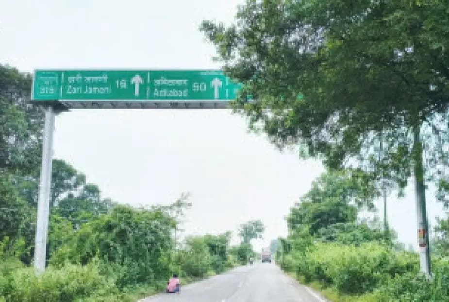 झरी जामणी: मांगली-मुकूटबन राज्यमार्गावर वाढलेली काटेरी झाडे आणि अपघाताचा धोका