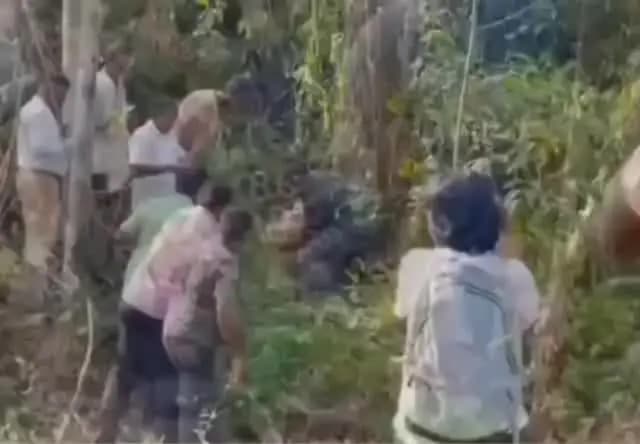 আলিপুরদুয়ার ২: বিহার থেকে আলিপুরদুয়ারের পথে বাঘিনী