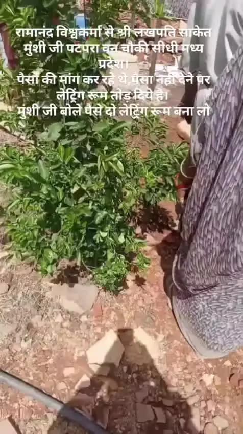 hamari letaring gira digai h
