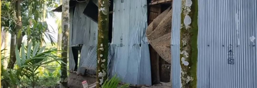 কুমারগ্রাম: লোকালয়ে বুনো হাতির তাণ্ডব, মজুত ধান খেয়ে ফেলল হাতির দল