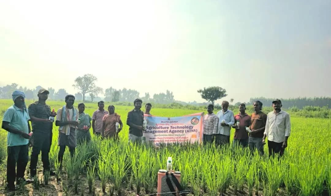 వెంకటాపురం: రాచపల్లిలో రైతులకు నానో యూరియా, డీఏపీపై అవగాహన సదస్సు