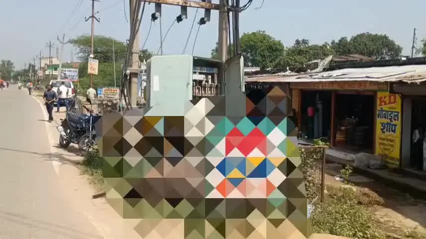 माधौगढ़: माधौगढ़ नगर में सिहारी बस स्टैंड पर करेंट लगने से भैंस की हुई दर्दनाक मौत