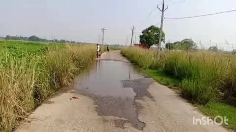 बरियारपुर: गंगा का जलस्तर बढ़ा, रोड पर आया पानी, लोगों की मुश्किलें बढ़ीं