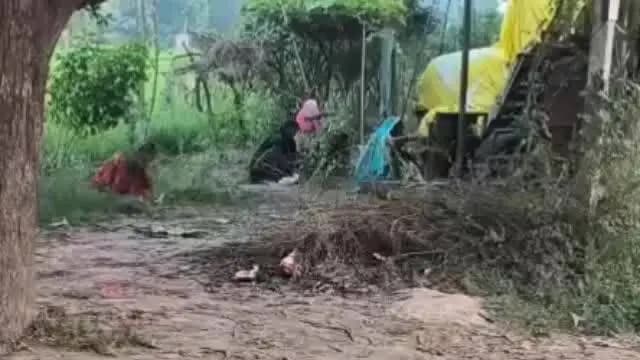 पडरौना: बरियार पौधे को चारों ओर घुमा कर माताओं ने भगवान राम को भेजा बेटों को दीर्घायु और अजेय रहने का संदेश