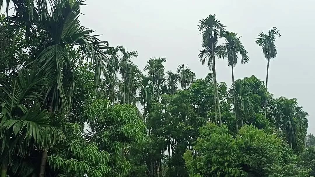 চুঁচুড়া-মগরা: হুগলি জেলায় রবিবার সকাল-মেঘলা বায়ু, বেলার দিকে রোদের ও বৃষ্টির সম্ভাবনা