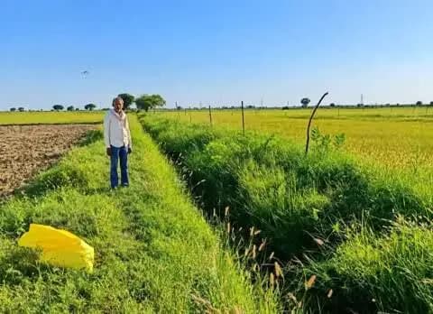 इंद्रगढ़: इंद्रगढ़ के बड़ाखेड़ा द्वितीय माइनर में बाधित सिंचाई, किसान परेशान