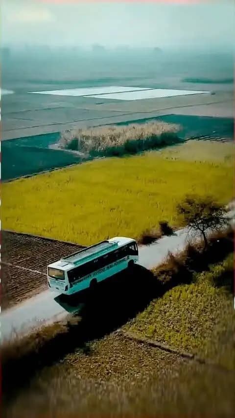 गांव-गांव तक बस सेवा, सुदूर अंचलों को मिली नई कनेक्टिविटी
सुरक्षित, सुलभ और नियमित यात्री परिवहन के उद्देश्य से शुरू हुई मुख्यमंत्री ग्रामीण बस योजना ने एक वर्ष में 850 गांवों तक अपनी पहुंच बनाई है। छत्तीसगढ़ के सुदूर अंचलों में रहने वाले नागरिकों को इस सुविधा से रोजगार, शिक्षा, स्वास्थ्य और जरूरी कार्यों के लिए आवागमन में सहूलियत मिल रही है।
#MukhyamantriGraminBusYojana #OneyearofMMGBY #मुख्यमंत्री_ग्रामीण_बस_योजना #SevaSankalpAbhiyan #Chhattisgarh SushasanSarkar