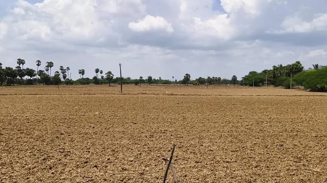 நாகப்பட்டினம்: நாகை மாவட்டம்: வறட்சி மாவட்டமாக அறிவிக்க விவசாயிகள் கோரிக்கை