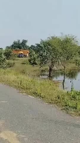 बिश्रामपुर: लालगढ़ पंचायत की ज़मीन से हजारों खजूर के पेड़ अवैध रूप से काटे गए, ट्रक से अन्य राज्यों में भेजे जा रहे