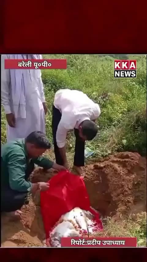 पत्रकार प्रदीप उपाध्याय ब्रेकिंग न्यूज