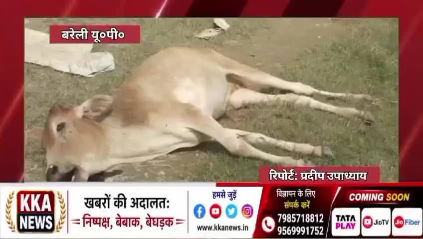 पत्रकार प्रदीप उपाध्याय ब्रेकिंग न्यूज