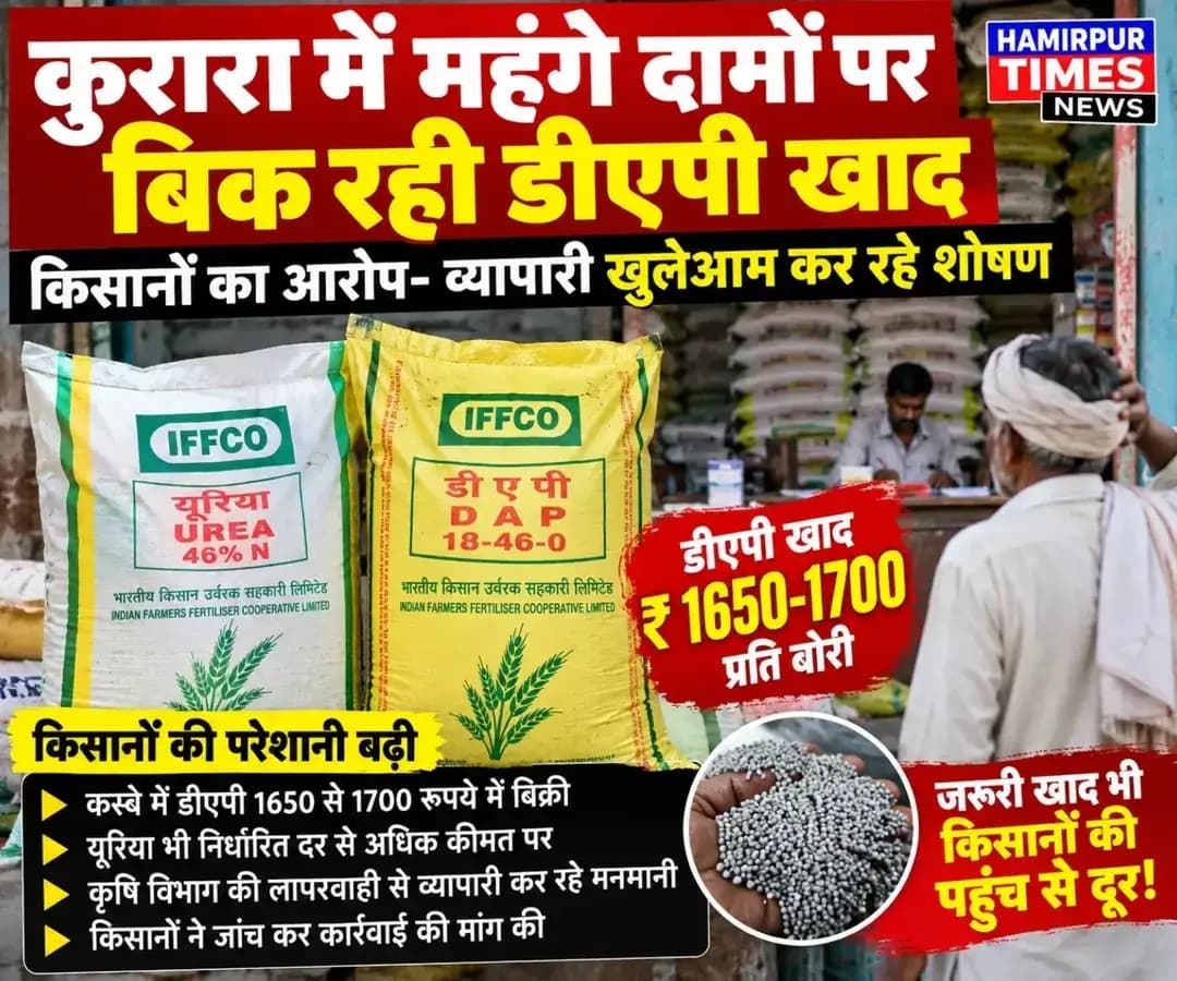 कुरारा में खाद के नाम पर किसानों से वसूली! 1650-1700 रुपये में बिक रही डीएपी, कृषि विभाग पर उठे सवाल.
कुरारा में महंगे दामों पर बिक रही डीएपी खाद, किसानों ने लगाया शोषण का आरोप
District Magistrate Hamirpur up
The Old Farmers Almanac
Chief Minister Office Uttar Pradesh
Dr. Manoj Kumar Prajapati
कुरारा। कस्बे में खाद विक्रेताओं पर किसानों ने डीएपी और यूरिया खाद निर्धारित दर से अधिक कीमत पर बेचने का आरोप लगाया है। किसानों का कहना है कि खाद की जरूरत के बीच व्यापारी मनमाने दाम वसूल रहे हैं, दुकानों में रेट सूची भी नहीं है. जिससे मनमाने रेट पर खाद बेच रहे है. वही किसानों पर अतिरिक्त आर्थिक बोझ पड़ रहा है।
किसानों के मुताबिक, कस्बे में डीएपी खाद 1650 से 1700 रुपये प्रति बोरी तक बेची जा रही है। किसानों का आरोप है कि मजबूरी में उन्हें महंगे दामों पर खाद खरीदनी पड़ रही है। इससे रबी फसलों की बुआई के समय किसानों की परेशानी बढ़ गई है।
किसानों ने कृषि विभाग के अधिकारियों पर भी लापरवाही का आरोप लगाया है। उनका कहना है कि यदि खाद दुकानों पर नियमित जांच और निर्धारित दरों की निगरानी की जाए तो किसानों से हो रही कथित मनमानी वसूली पर रोक लग सकती है।
किसानों ने कृषि विभाग के अधिकारियों से खाद विक्रेताओं की दुकानों पर जांच कराकर निर्धारित दर पर खाद उपलब्ध कराने और अधिक कीमत वसूलने वालों के खिलाफ कार्रवाई की मांग की है।:
<nis:link nis:type=tag nis:id=kurara nis:value=Kurara nis:enabled=true nis:link/> <nis:link nis:type=tag nis:id=hamirpur nis:value=Hamirpur nis:enabled=true nis:link/> <nis:link nis:type=tag nis:id=dap nis:value=DAP nis:enabled=true nis:link/> <nis:link nis:type=tag nis:id=urea nis:value=Urea nis:enabled=true nis:link/> <nis:link nis:type=tag nis:id=kisan nis:value=Kisan nis:enabled=true nis:link/> Fertilizer HamirpurNews UPNews KisanNews HamirpurTimesNews