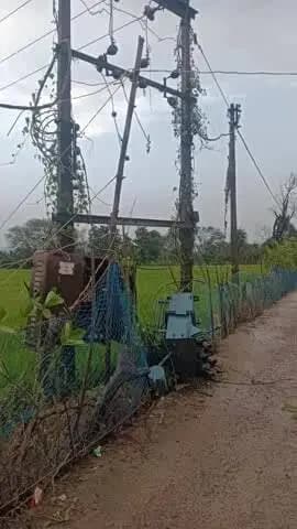 मुंगेली: लोरमी में तेज आंधी-तूफान से ट्रांसफार्मर गिरा, बिजली व्यवस्था ठप